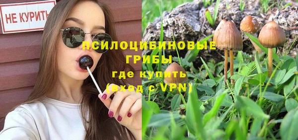 альфа пвп Лиски