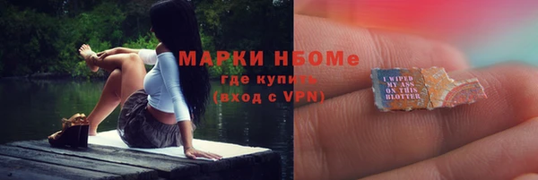 шишки Сосновый Бор