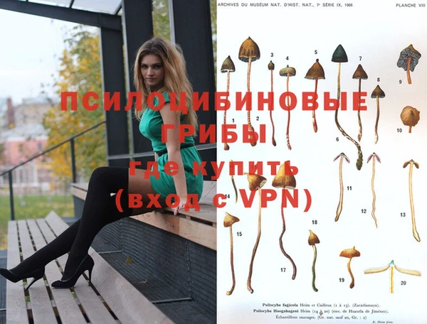винт Липки